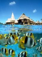 3D2N Redang Island Deluxe Package